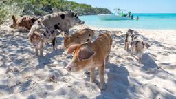 Hôtels - Îles Exumas