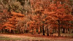 Hôtels à Ezeiza