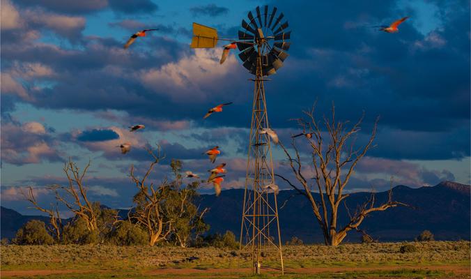 Australie du Sud