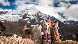 Annuaire des hôtels à Cuzco