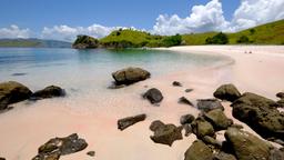 Locations de vacances - Petites îles de la Sonde orientales