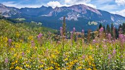 Hôtels à Crested Butte