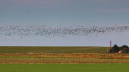 Hôtels à Norddeich (Niedersachsen)
