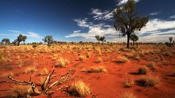 Hôtels près de Yulara Aéroport d'Ayers Rock