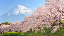 Locations de vacances - Japon