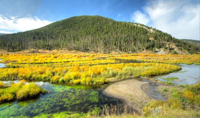 Bozeman