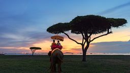 Trouvez des vols pas chers A&eacute;roport de Paris-Charles-de-Gaulle - Phuket