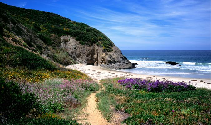 Dana Point