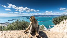 Location de voitures à Gibraltar
