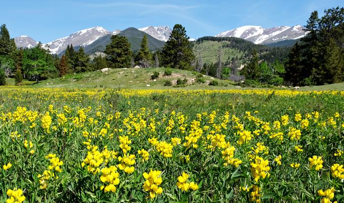 Estes Park