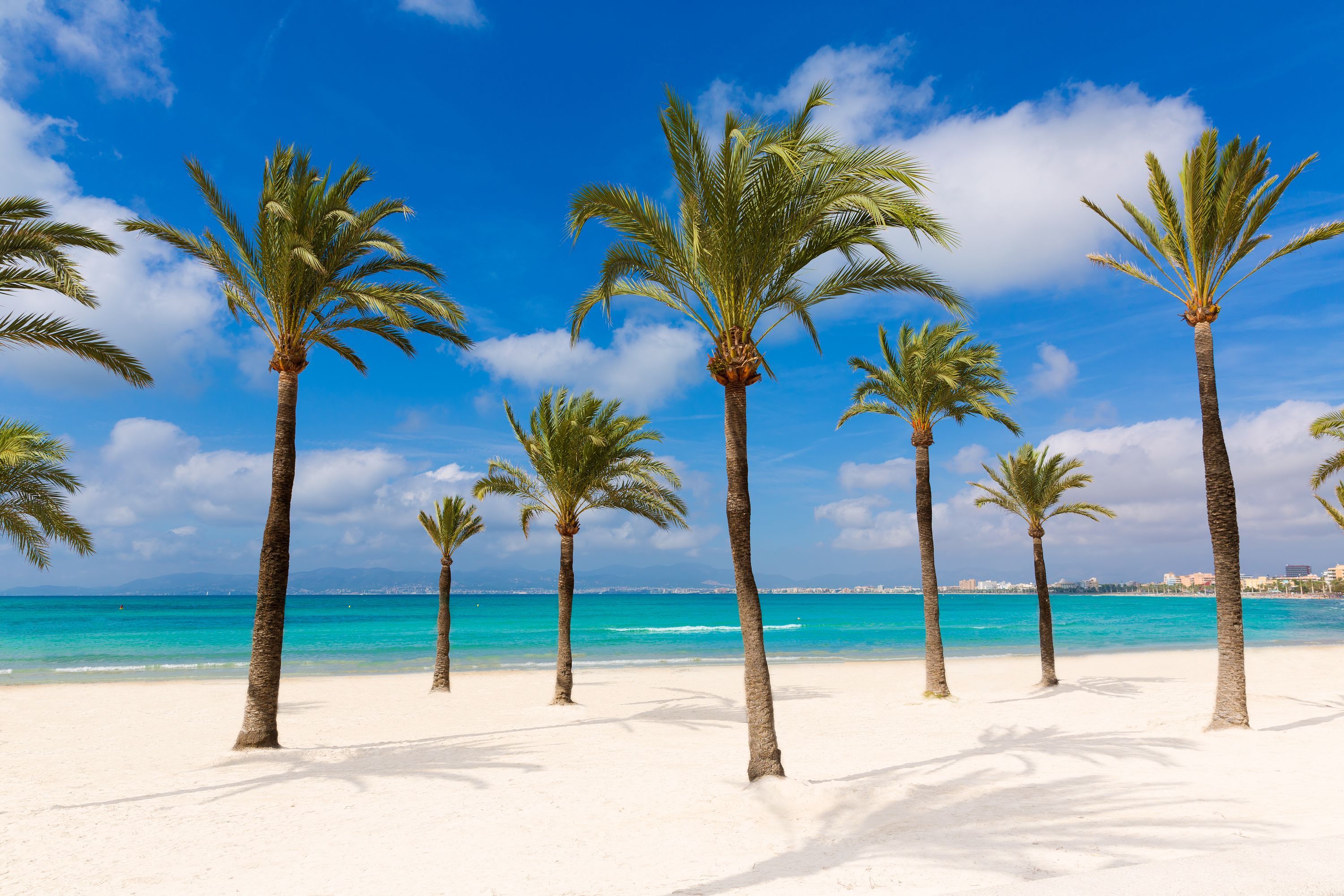 H&ocirc;tels &agrave; El Arenal