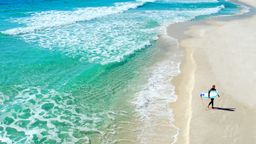 Download Plage pensacola hilton suite de 3 chambres For Free