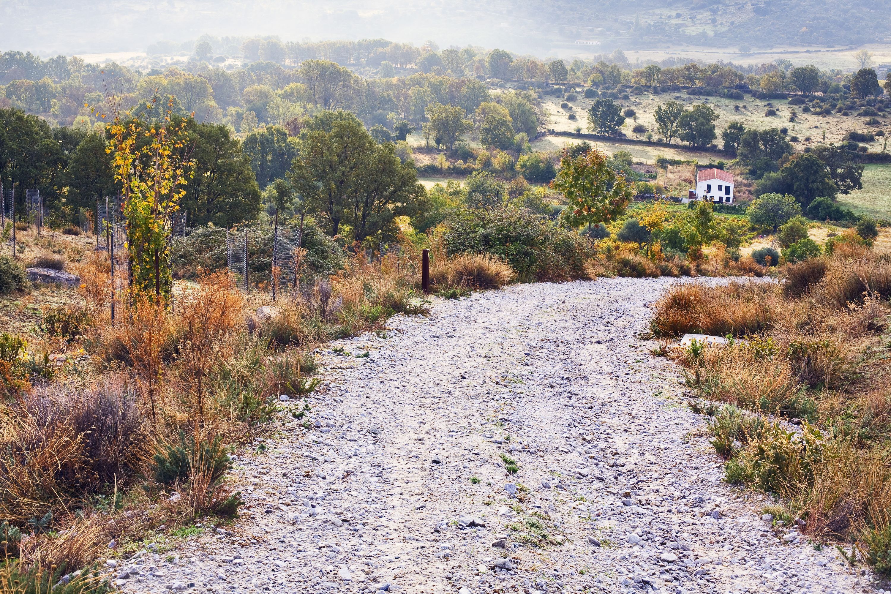 Location de voitures &agrave; Las Rozas