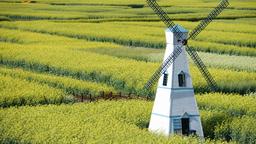 Trouvez des vols pas chers Montpellier - Chine