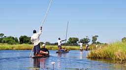 Annuaire des hôtels à Maun