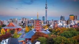 Trouvez des vols pas chers Lyon - Tokyo-Haneda