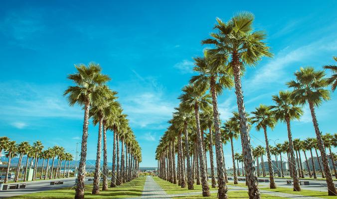 Miami Springs