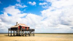 Locations de vacances - Bassin d'Arcachon