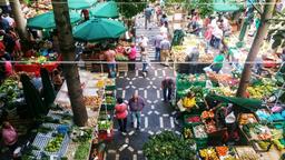 Trouvez un billet d’avion pas cher pour Funchal
