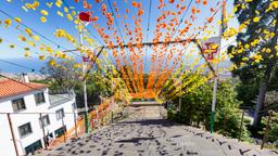 Vol Funchal : Trouvez un billet d’avion pas cher pour Funchal