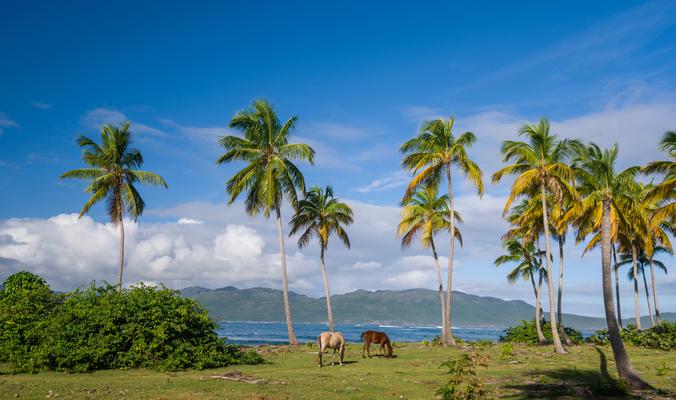 Samaná