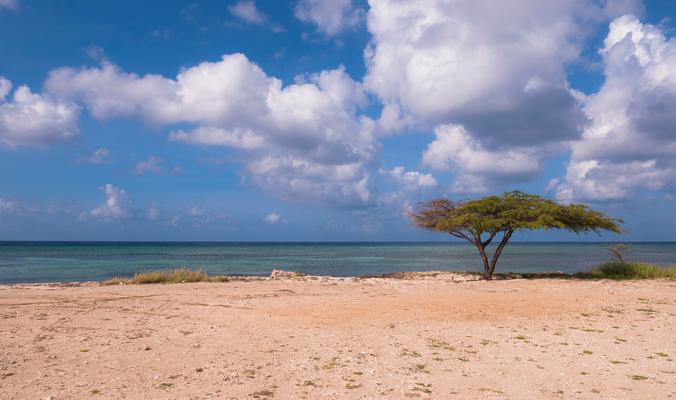 Aruba