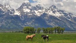 Hôtels près de Jackson Aéroport de Jackson Hole