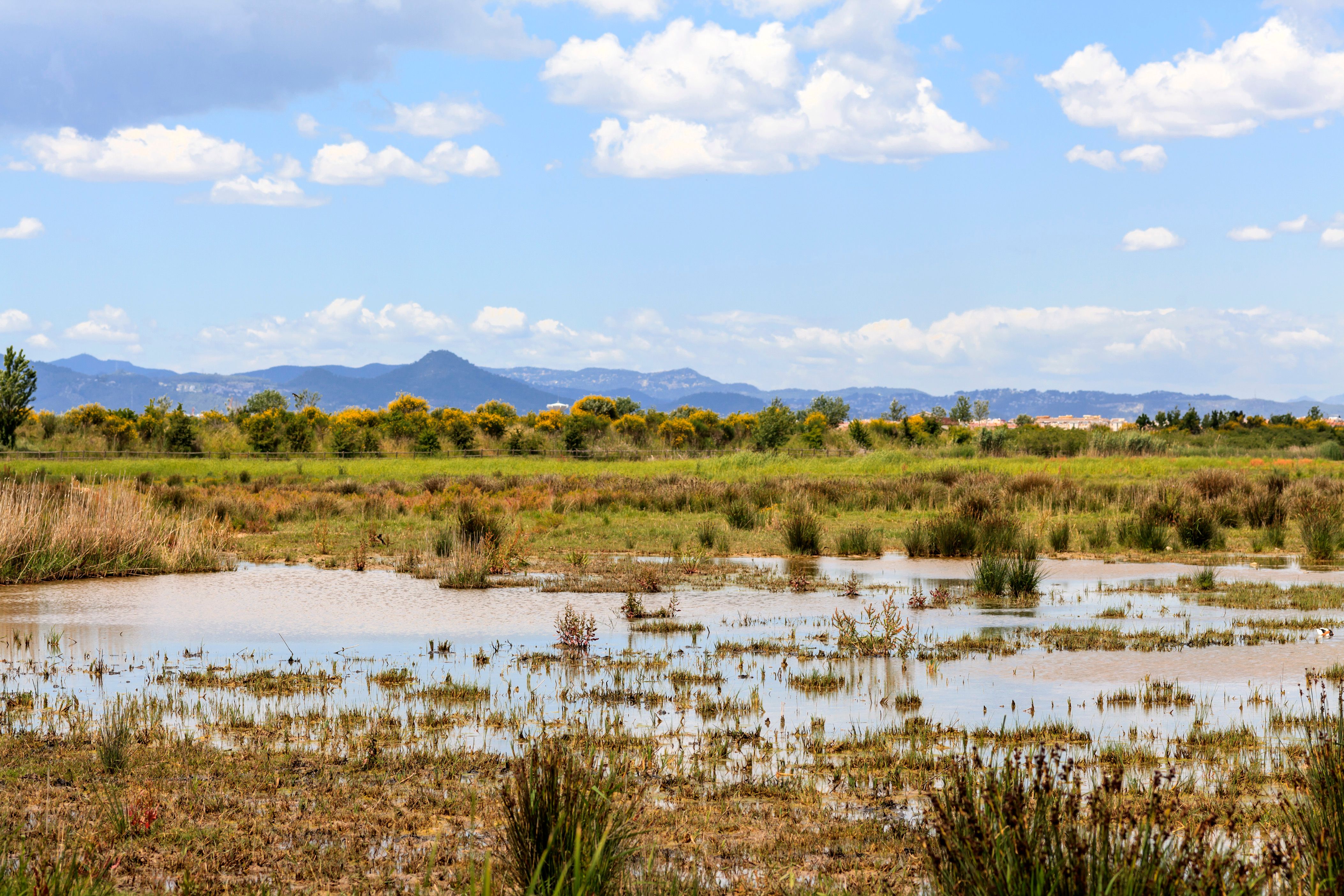 Location de voitures &agrave; El Prat de Llobregat
