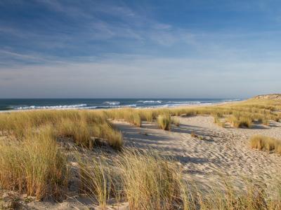 Cap Ferret