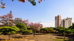 Hôtels près de Aéroport : Londrina