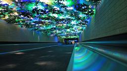 Vol Atlanta : Trouvez un billet d’avion pas cher pour Atlanta