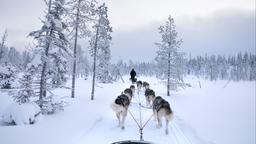 Hôtels près de Aéroport de Kuusamo