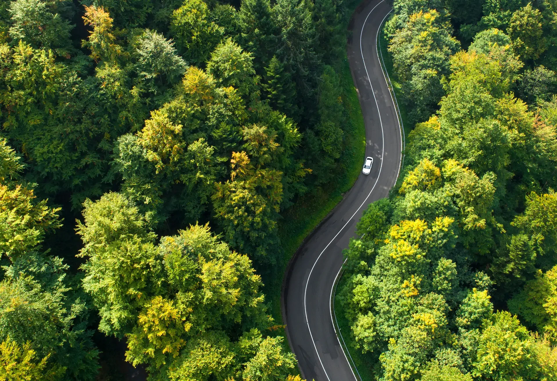 Winding road through the forest - aerial view