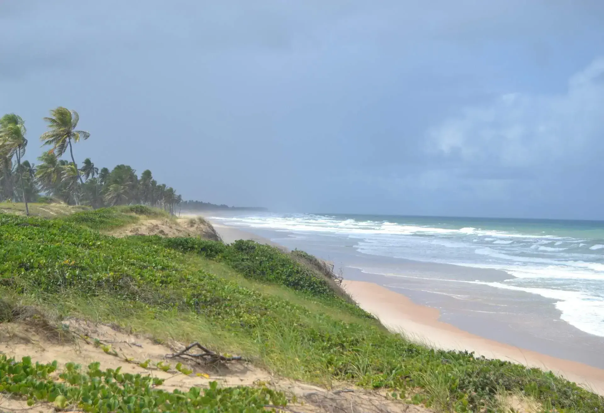 brazil bahia massarandupio