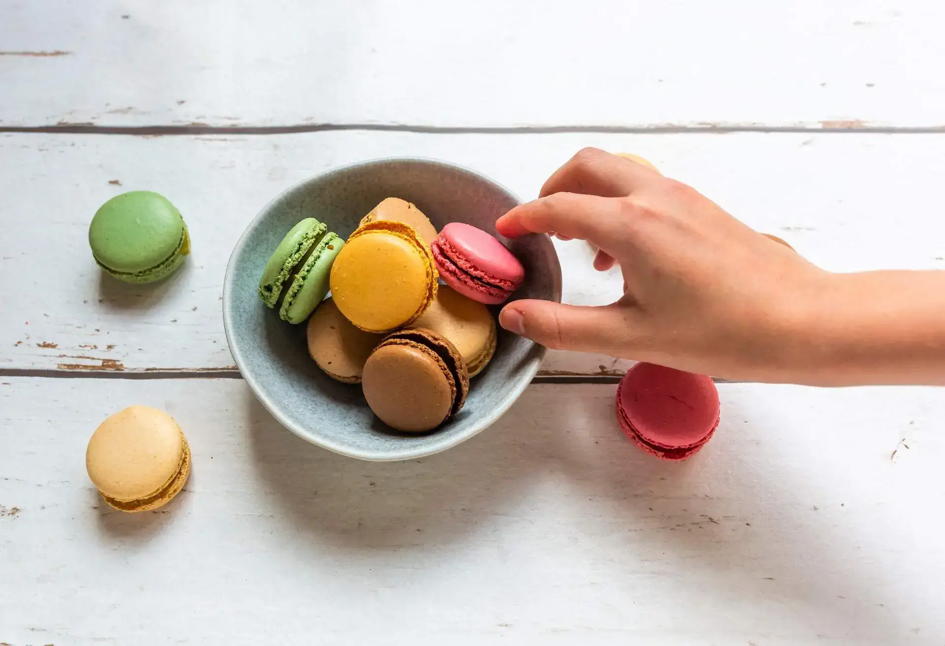 macaroon