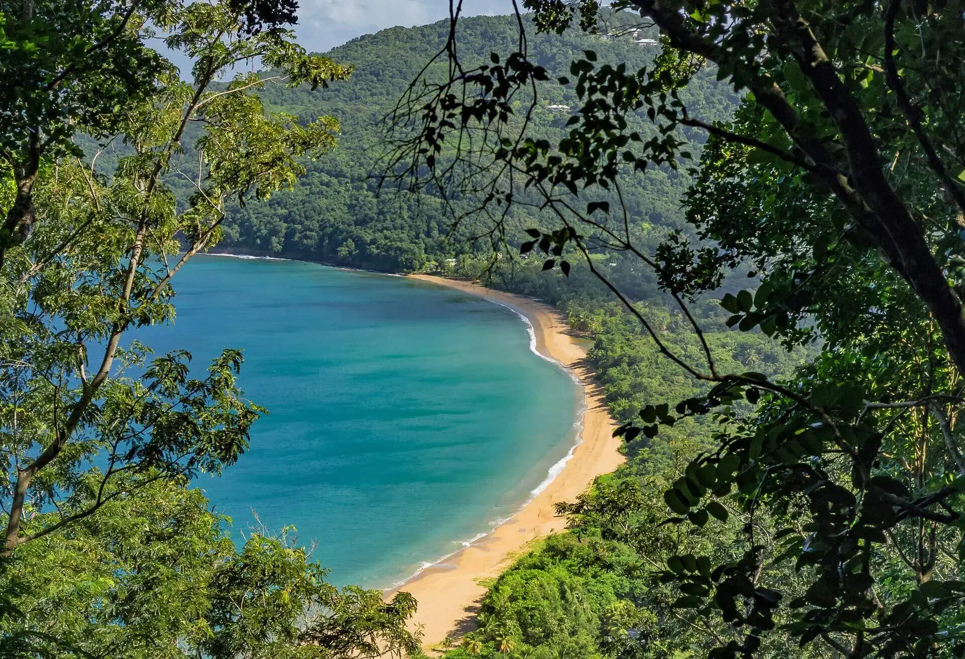 guadaloupe french antilles terrebase terre del bas