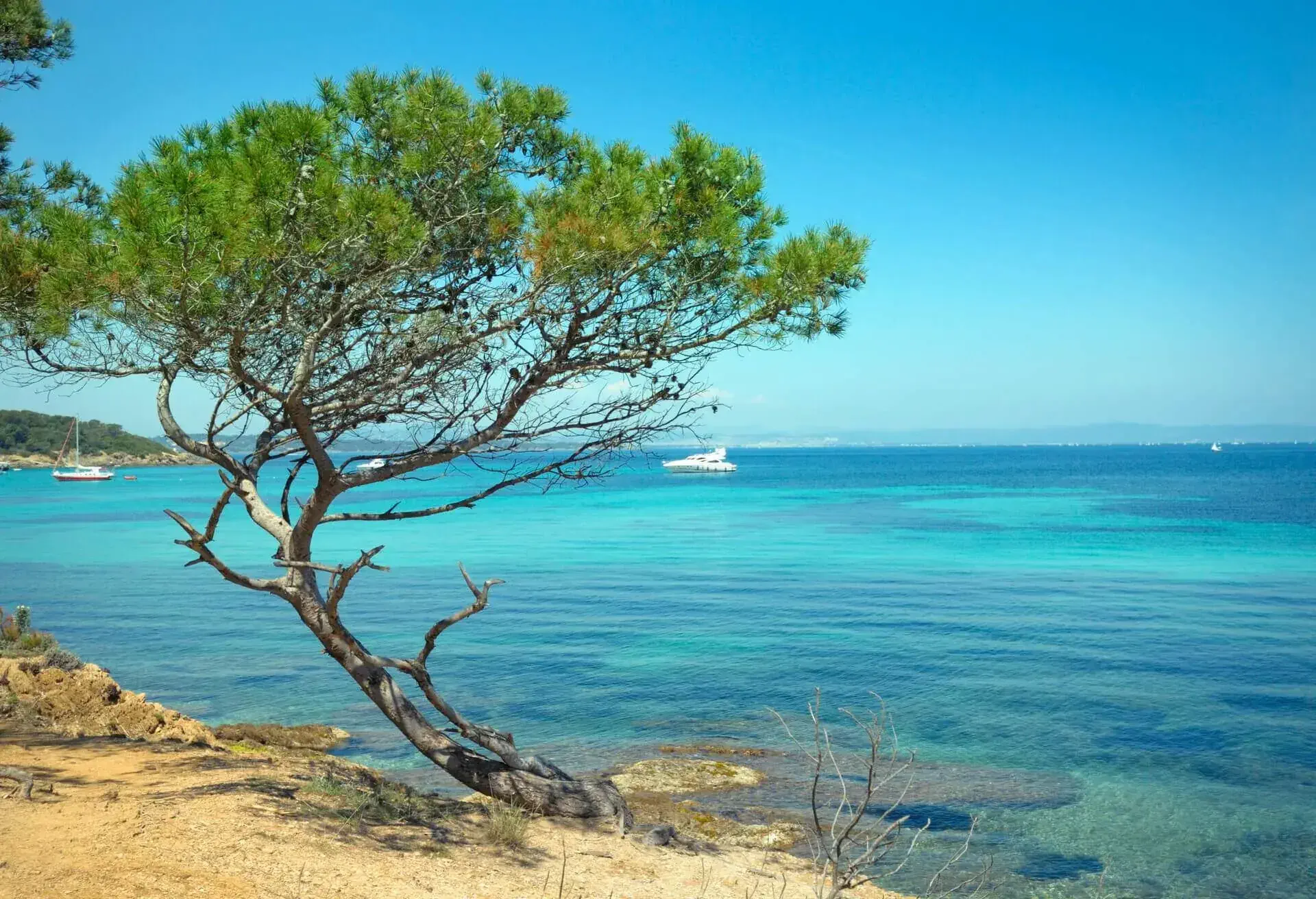 france island of porquerolles