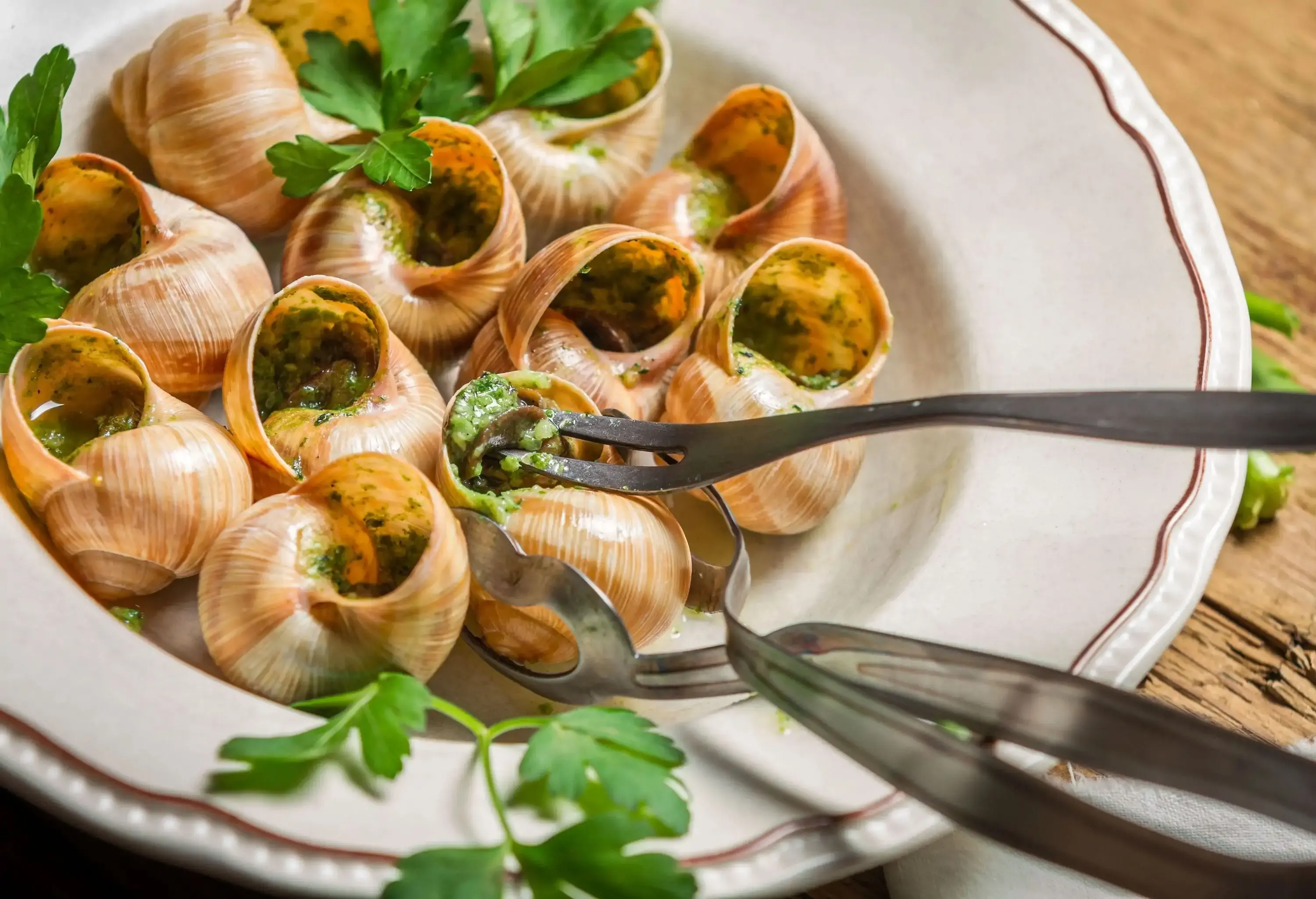 A snail dish with herbs served on a white plate with an escargot tong and fork.