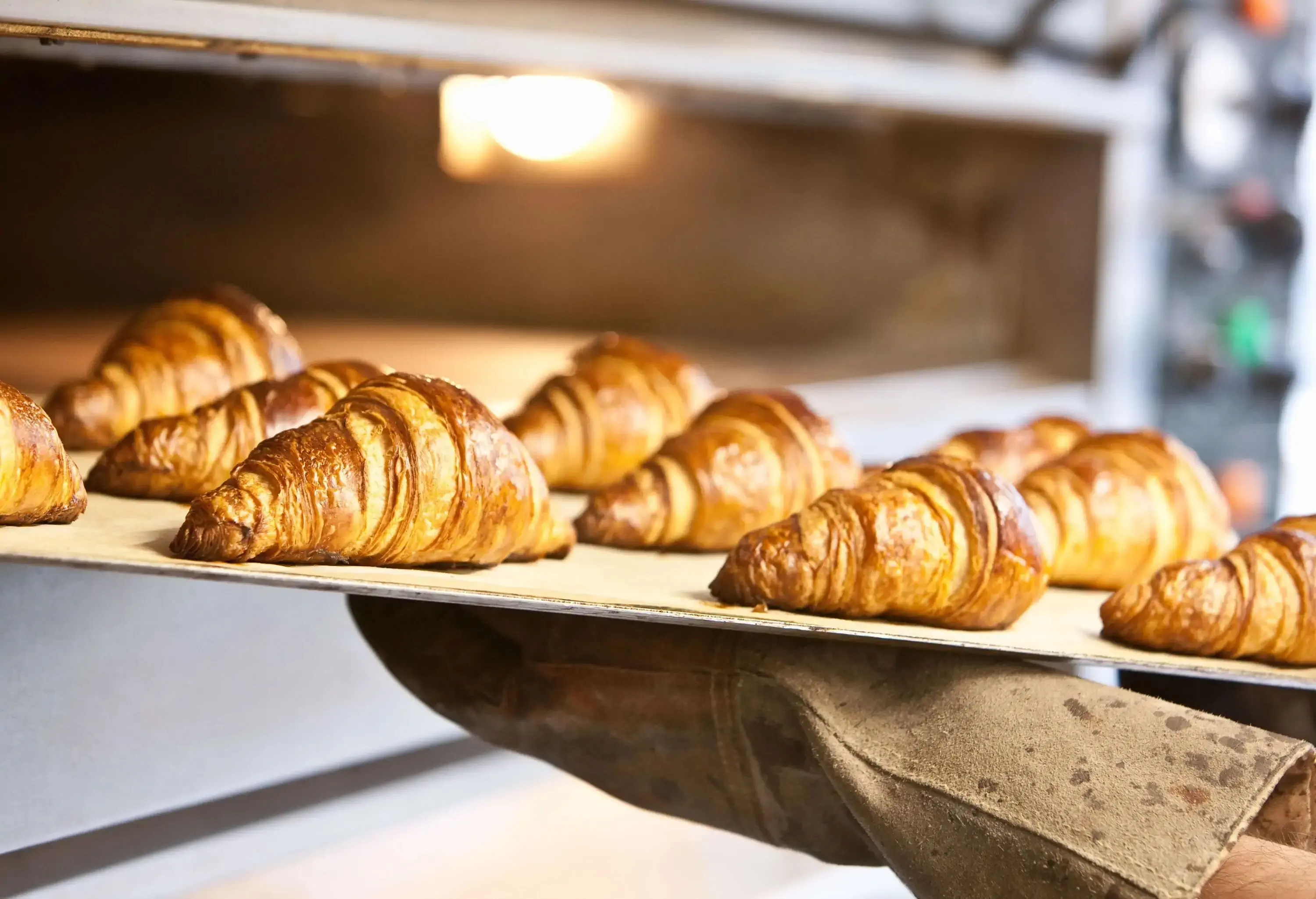 A person holds a tray of freshly baked croissants.