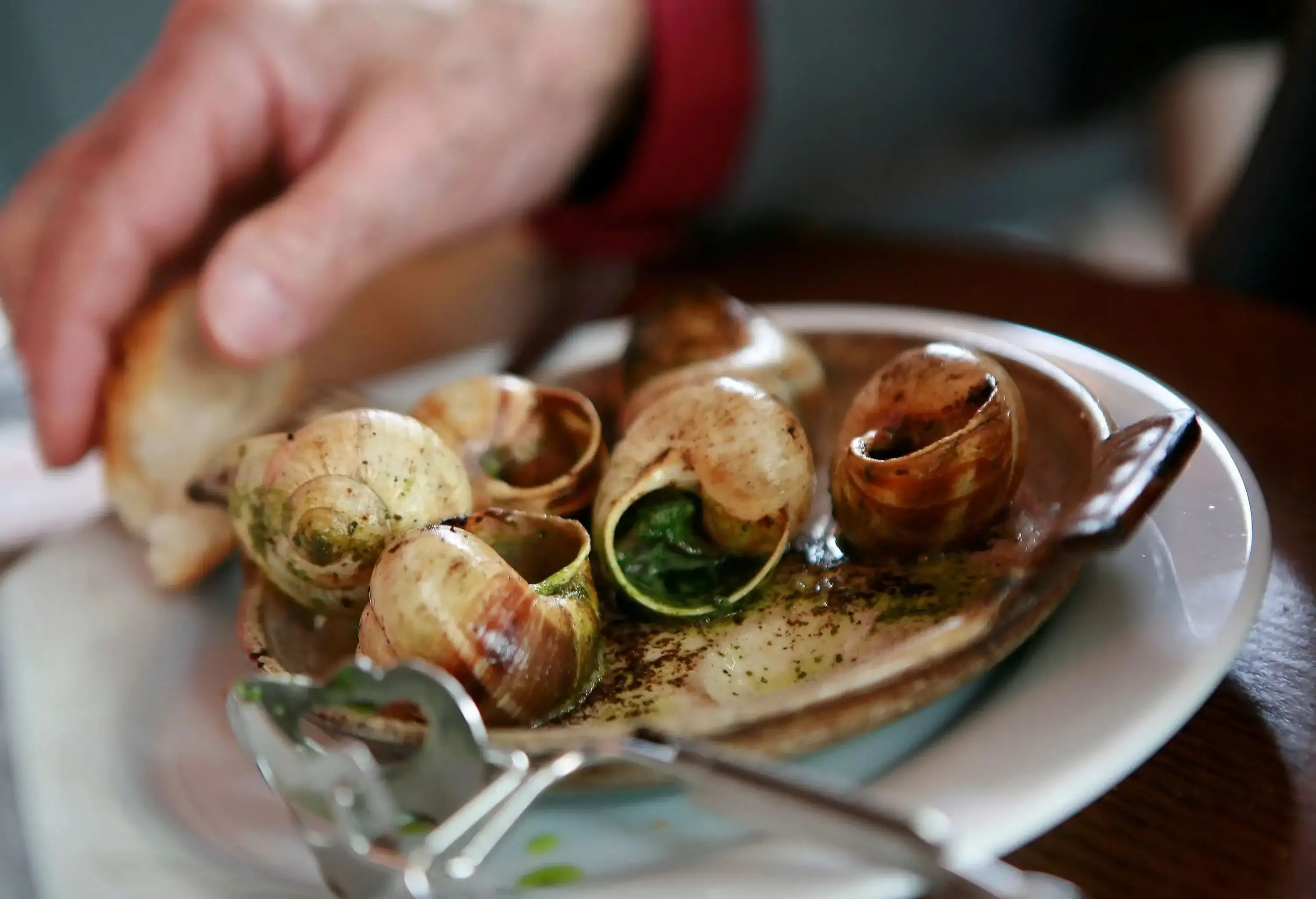 A plate of a snail dish with green sauce.