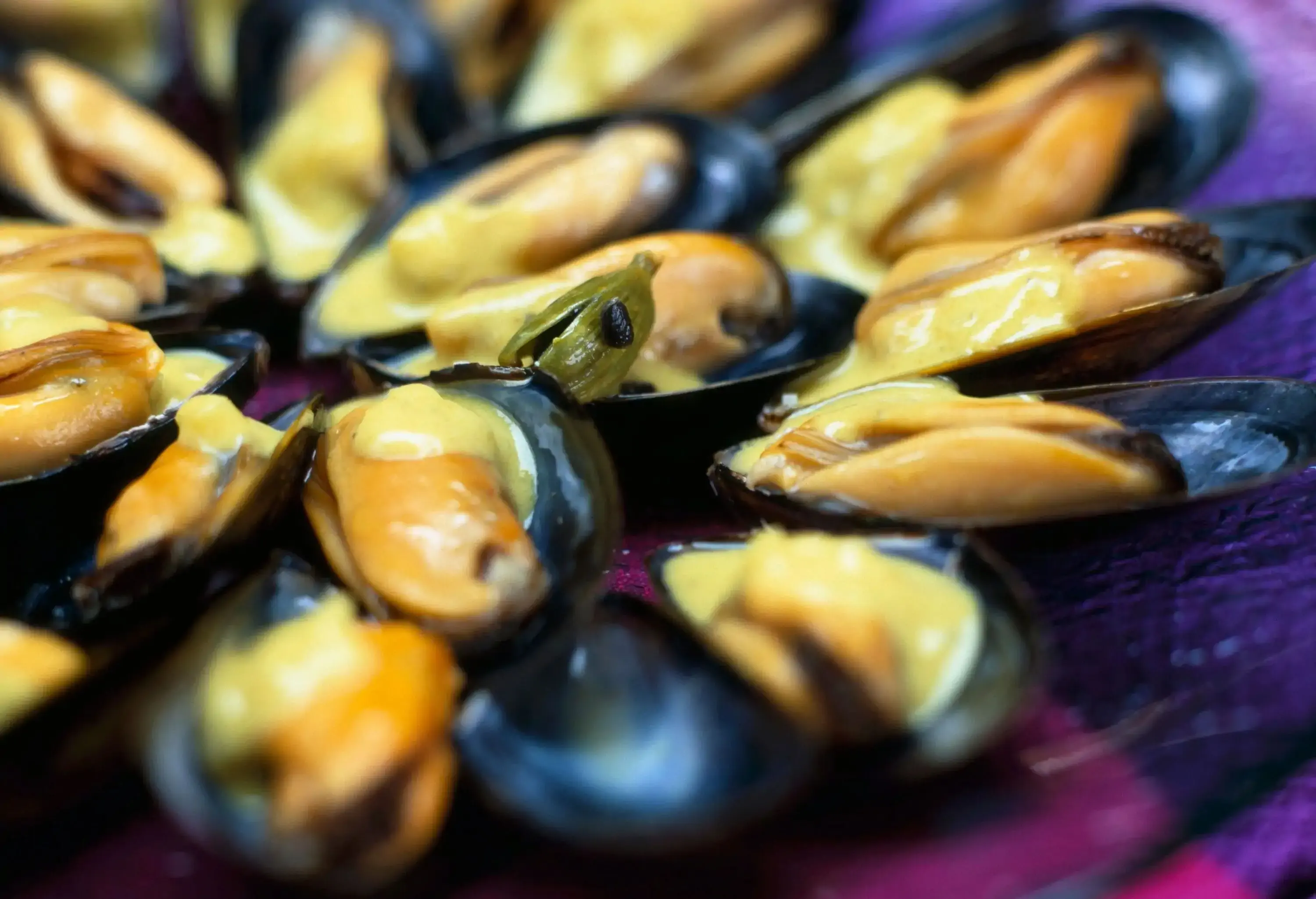 Half-open cooked mussel served on a transparent plate.