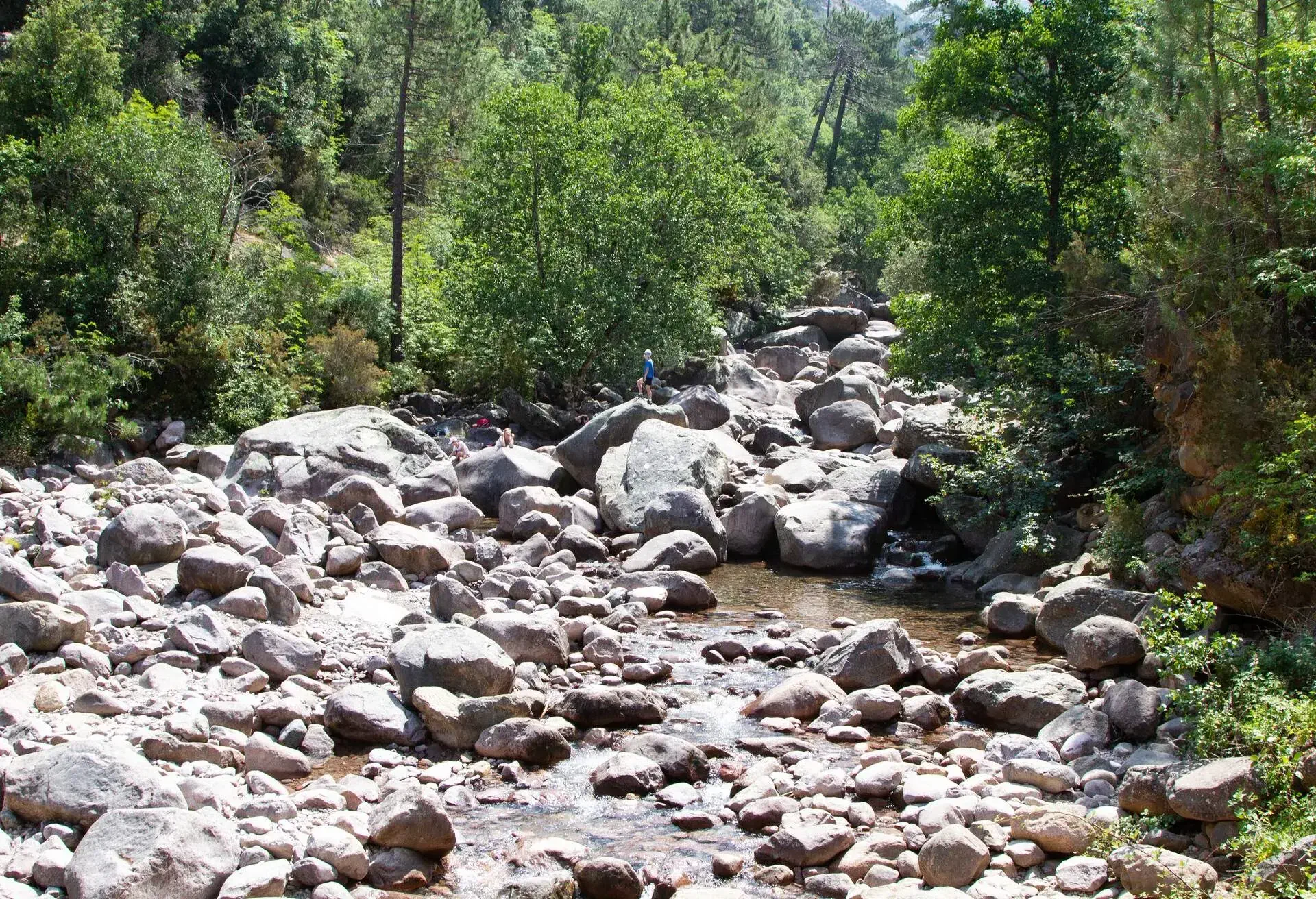 DEST_FRANCE_CALVI_BONIFATO-FOREST-GettyImages-1355592083