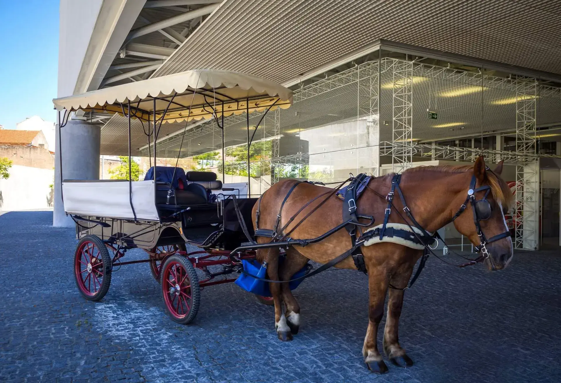 DEST_PORTUGAL_LISBON_THEME_MUSEUM_DOS_COCHES_GettyImages-1012146370