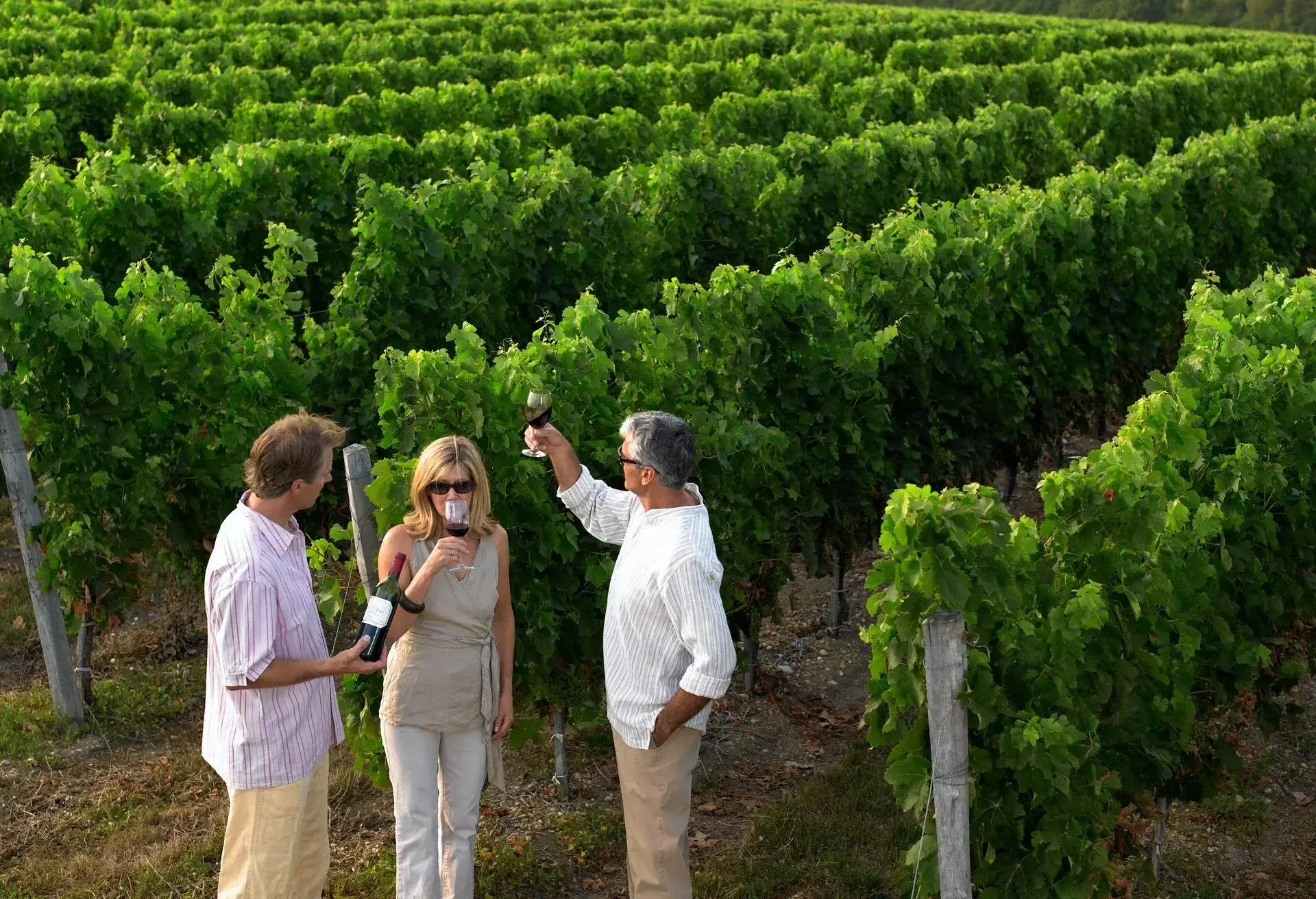 DEST_FRANCE_BORDEAUX_THEME_WINERY_WINE_PEOPLE_ATTRACTION_VINEYARD-GettyImages-200254199-001