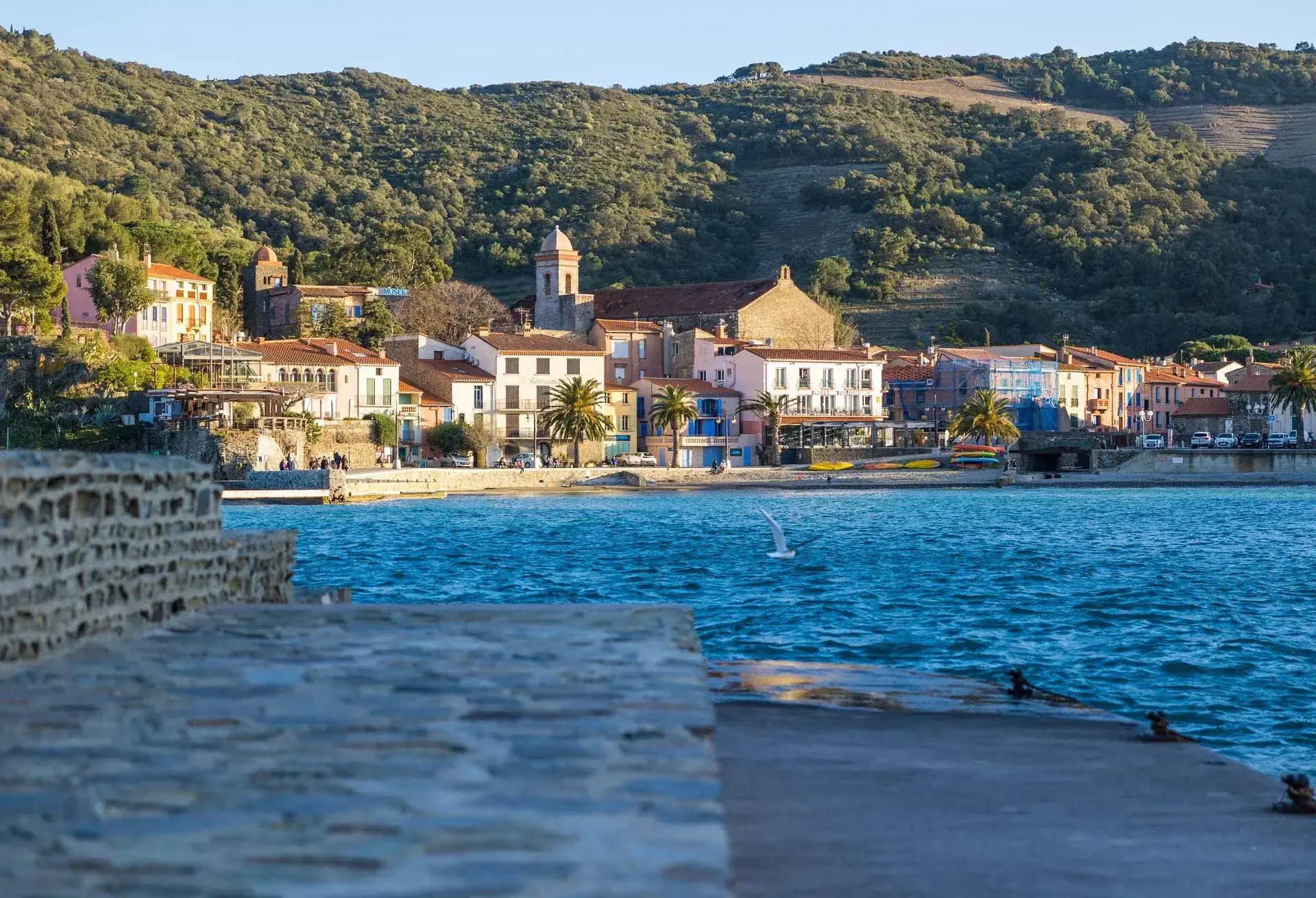 View at sunset on the Port d'Avall beach in Collioure, France