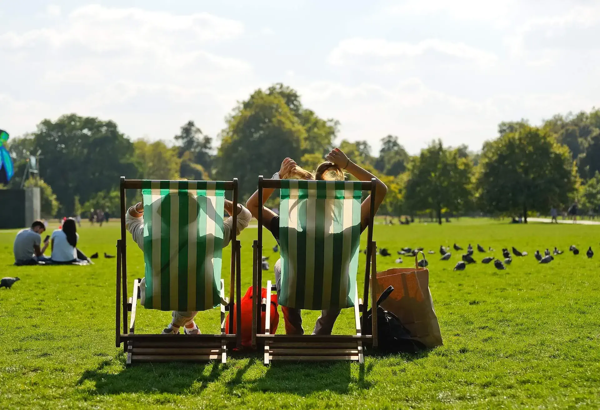 Two people sit on foldable chairs in front of a green park filled with birds and people lounging.