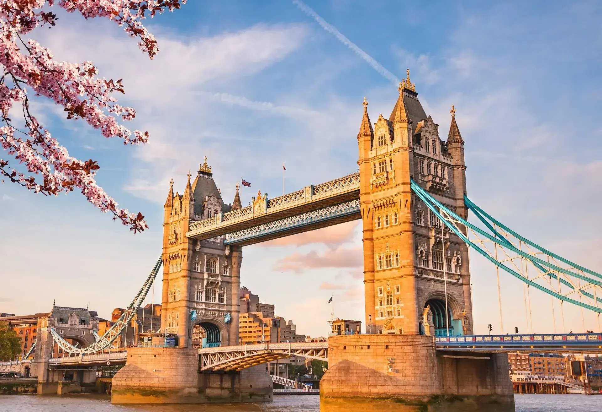 Tower bridge with cherry blossom, London