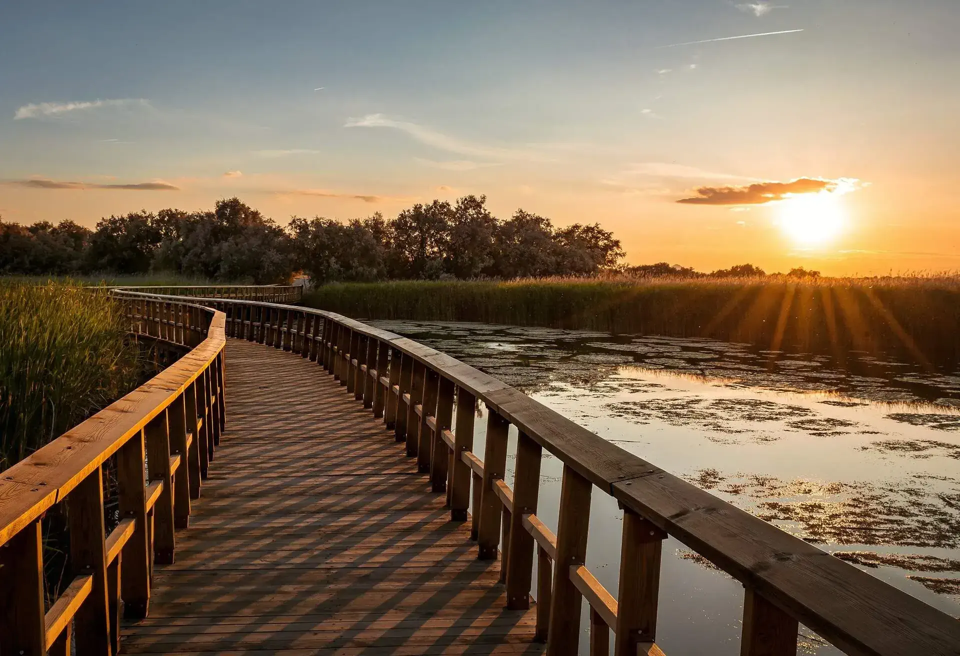 DEST_SPAIN_TABLES_OF_DAIMIEL_NATIONAL_PARK_WOODEN_BRIDGE