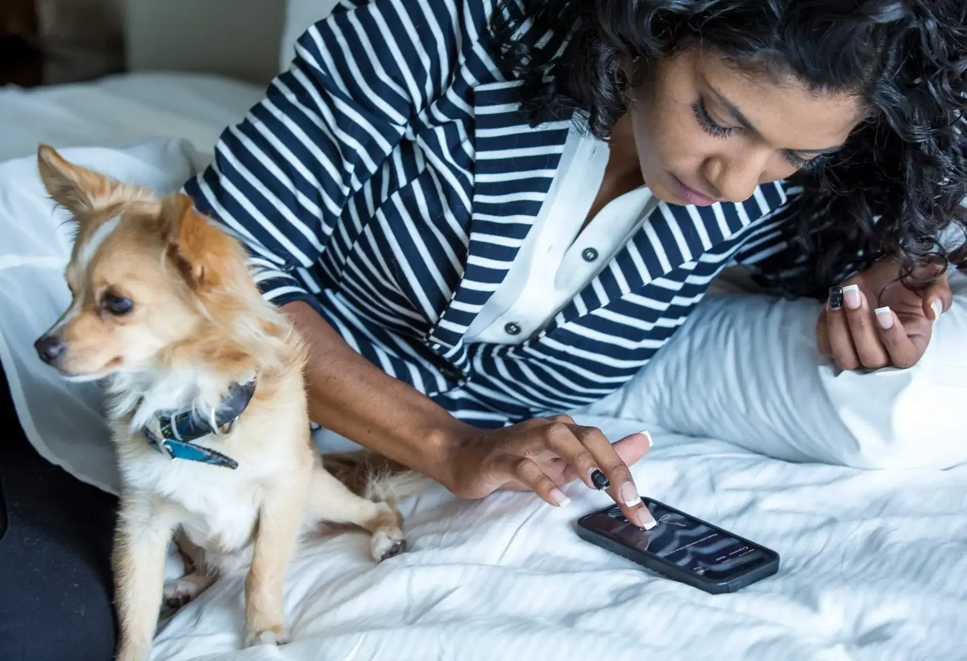 THEME_PETS_DOG_TRAVEL