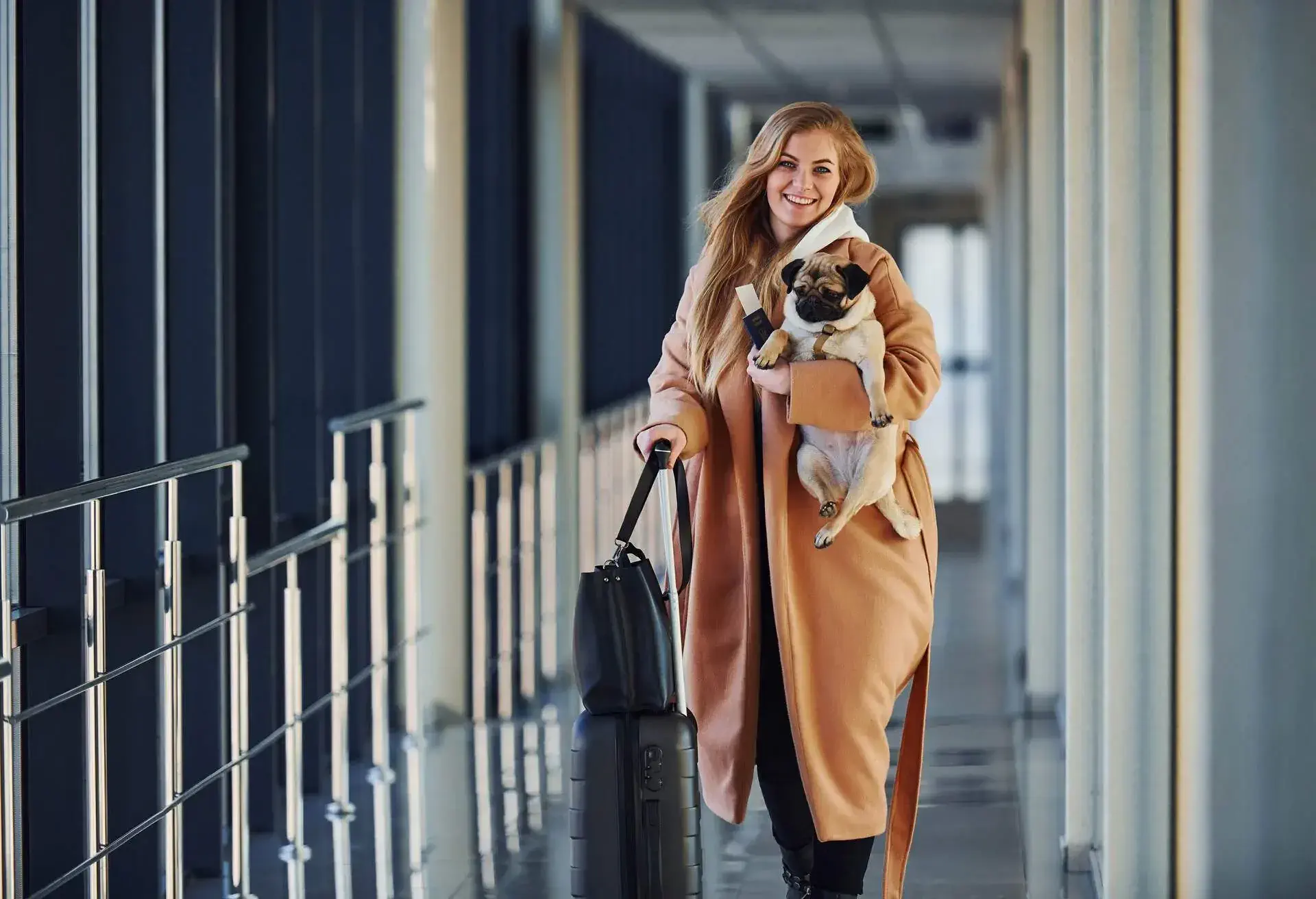 THEME_PERSON_PET_AIRPORT_PASSPORT_TRAVEL_DOG
